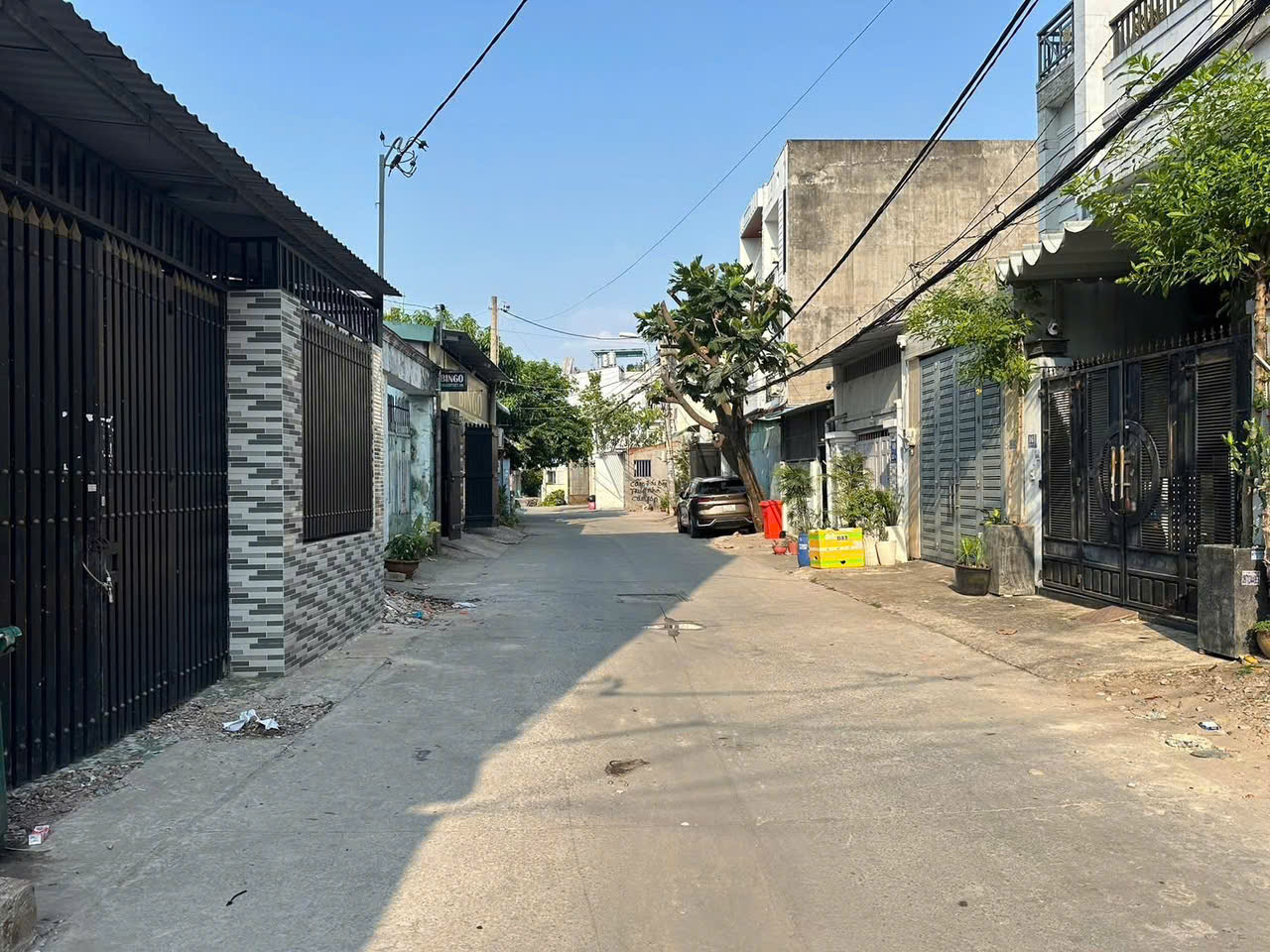 ĐẤT ĐẸP TRẦN THỊ CỜ – QUỸ ĐẤT LỚN HIẾM Q12 – CHỈ 11,5 TỶ 15987202