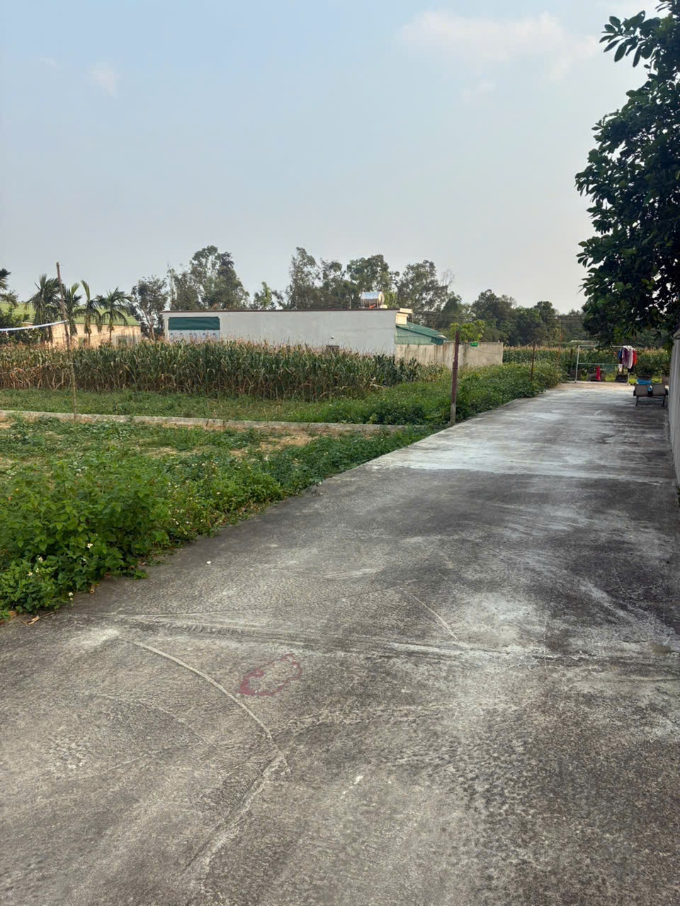 BÁN ĐẤT CHÍNH CHỦ – GIÁ TỐT TẠI NGHI LỘC, NGHỆ AN 15987273