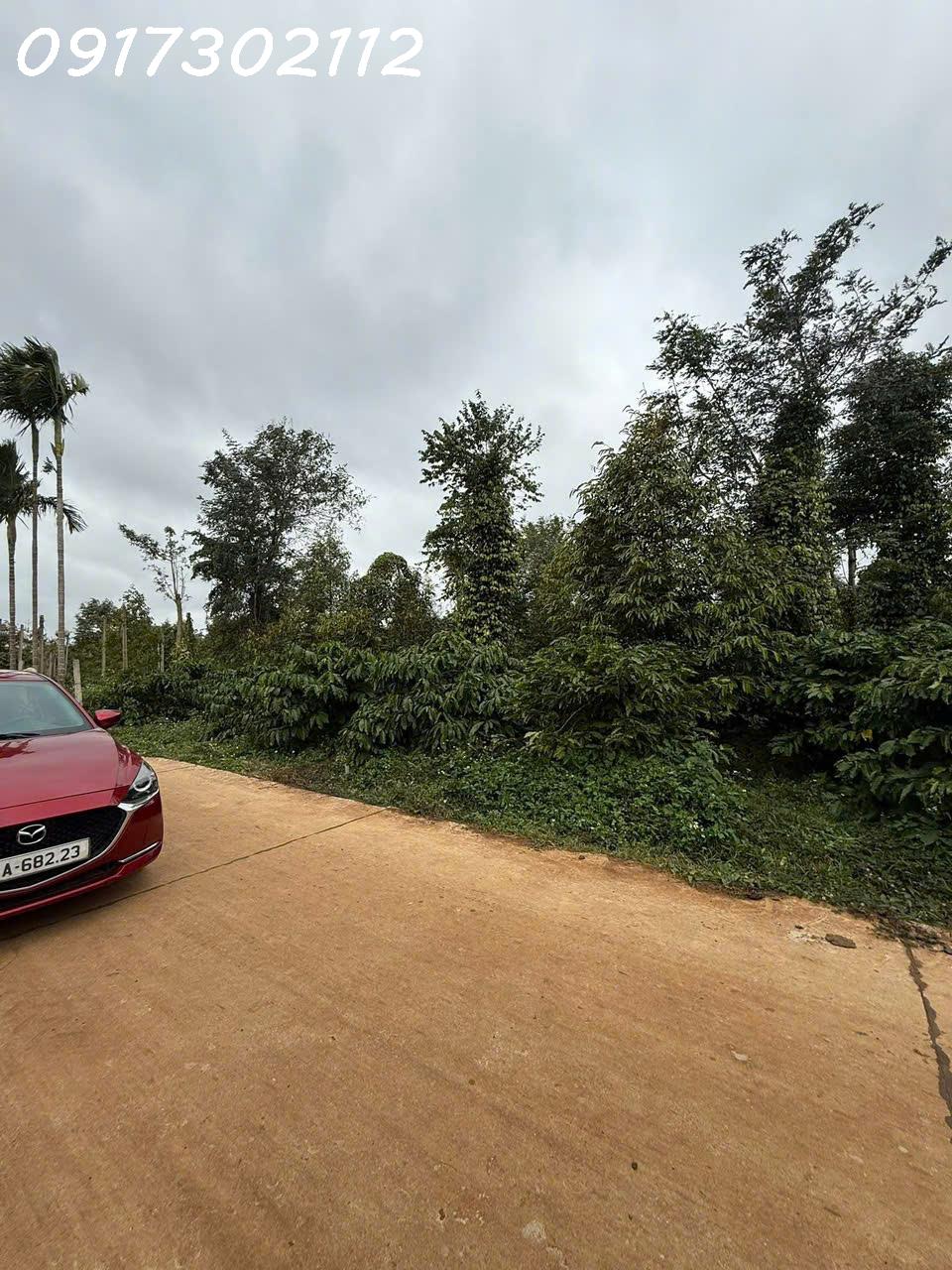 Em cần bán 10x40 ( 60m thổ cư) Xã Ea Knuếc, Đắk Lắk 15987392