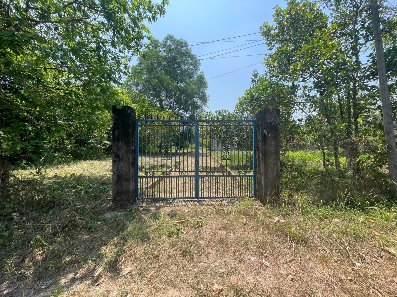 ĐẤT ĐẸP – GIÁ TỐT – CHÍNH CHỦ CẦN BÁN 2 LÔ ĐẤT An Nhơn Tây, Củ Chi, TP.HCM 15987405