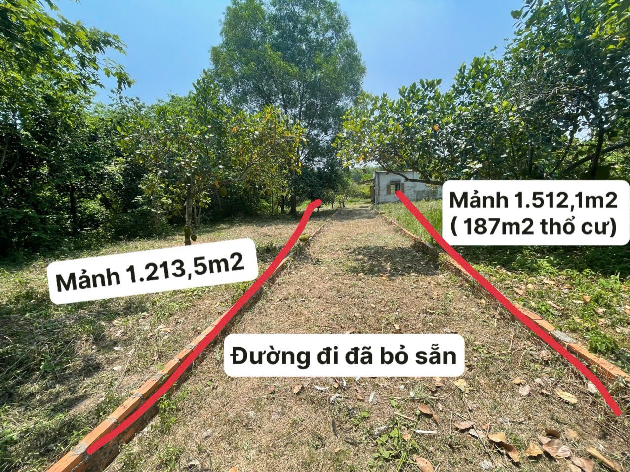 ĐẤT ĐẸP – GIÁ TỐT – CHÍNH CHỦ CẦN BÁN 2 LÔ ĐẤT An Nhơn Tây, Củ Chi, TP.HCM 15987405