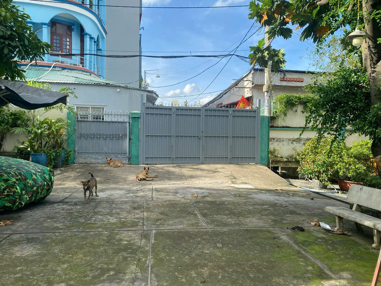 SIÊU PHẨM Q12 – GIẢM SỐC 20 TỶ – 1.100M² FULL THỔ CƯ – CHỈ ~69TR/M² 15987410
