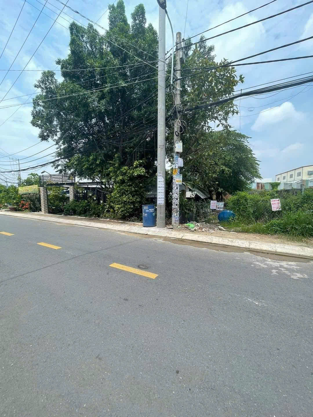 Bán đất đường nhựa 7m thông 5x24m giá 6,5 tỷ Đường Đông Thạnh 6 -3 15987448