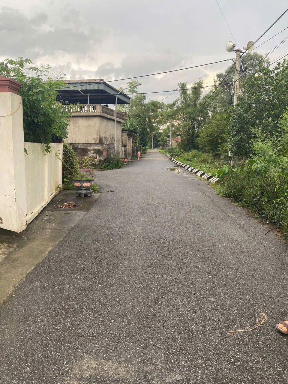 F0 duy nhất tại thôn Trung Liêu – xã Tiên Ngoại, siêu phẩm không có lô thứ 2 15987463