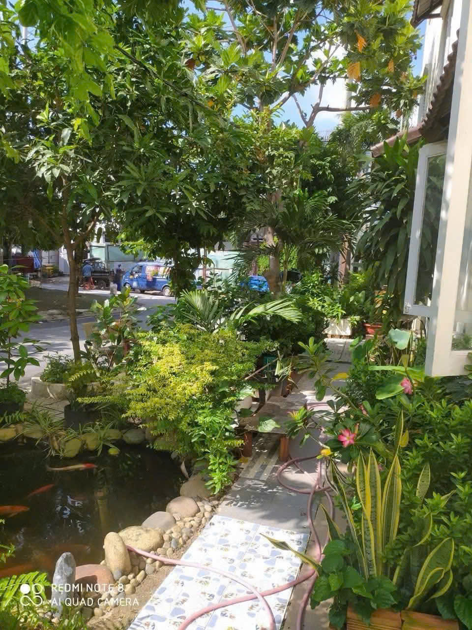 MẶT TIỀN TÂN XUÂN – TÔ KÝ – 5x25M – NHÀ 3 TẦNG + SÂN VƯỜN – CHỈ 8.8 TỶ 💥 15987491