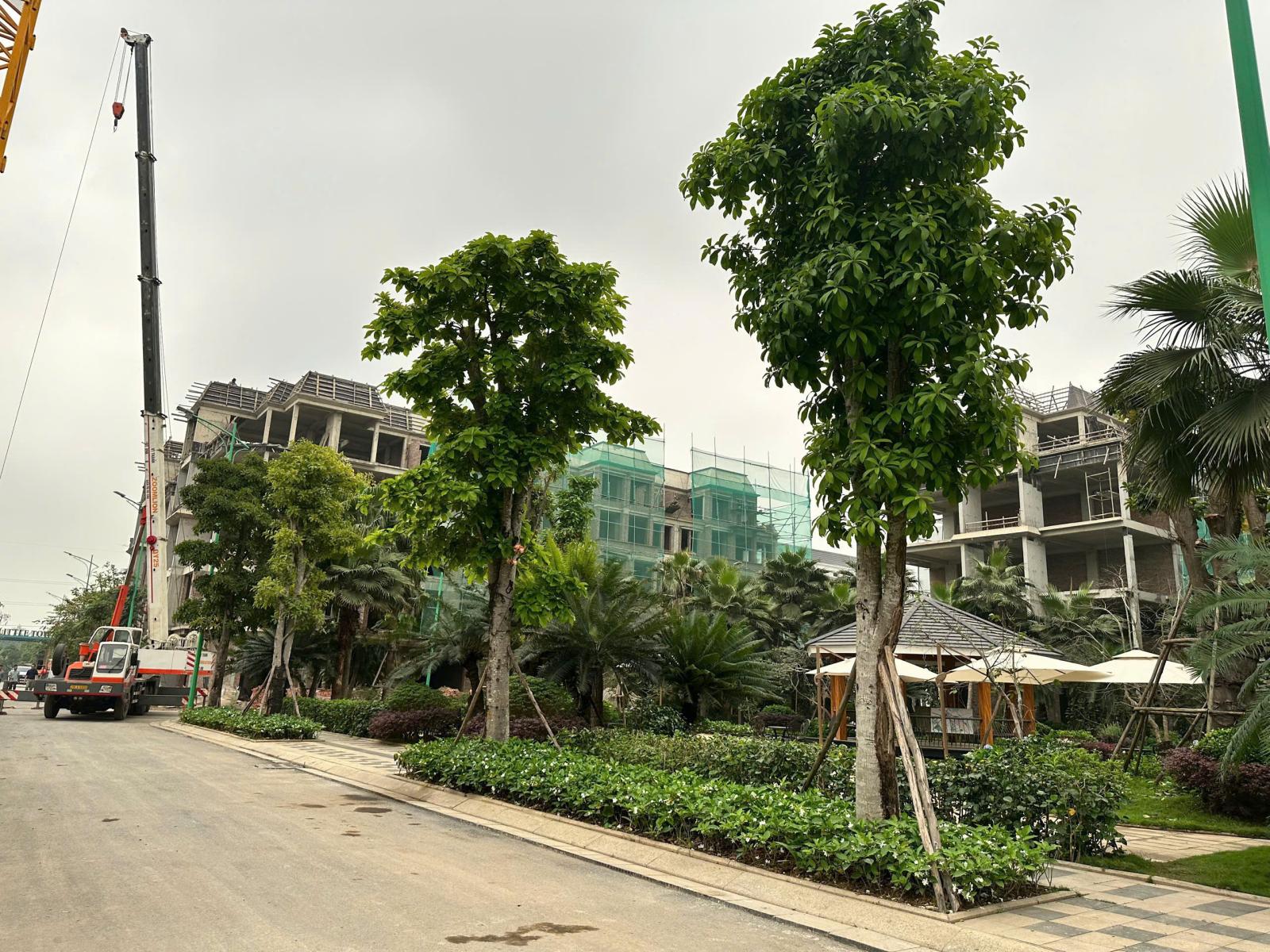 BÁN NHÀ Ở LIỀN KỀ CỔ BI DT 90M2 VÀI BƯỚC RA TRƯỜNG HỌC CÁC CẤP THOÁNG MÁT Ở SƯƠNG NHỈNH 15 TỶ 15987541