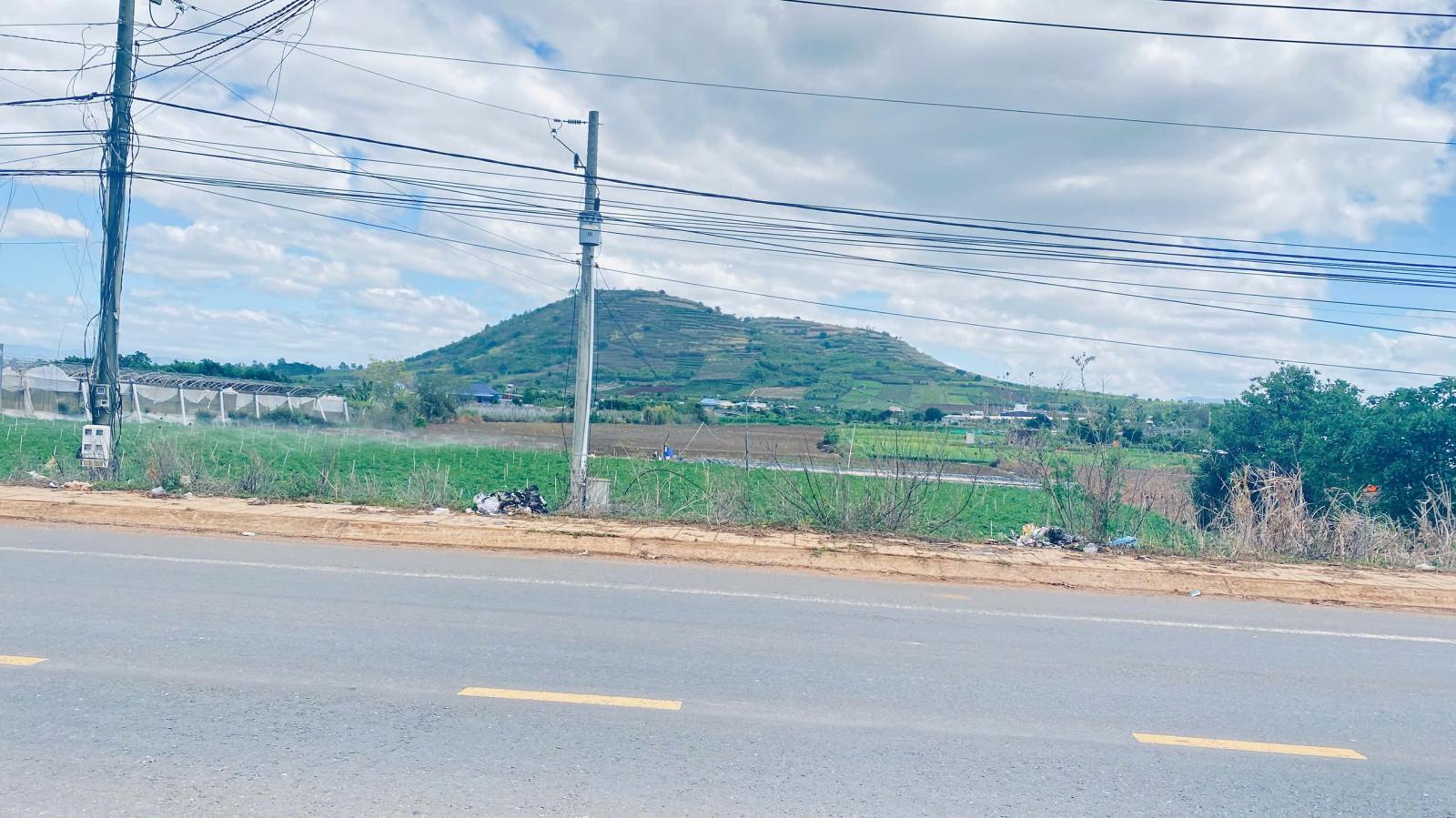 3 héc ta mặt tiền dt724, phú hội cũ, đức trọng, lâm đồng 15987561