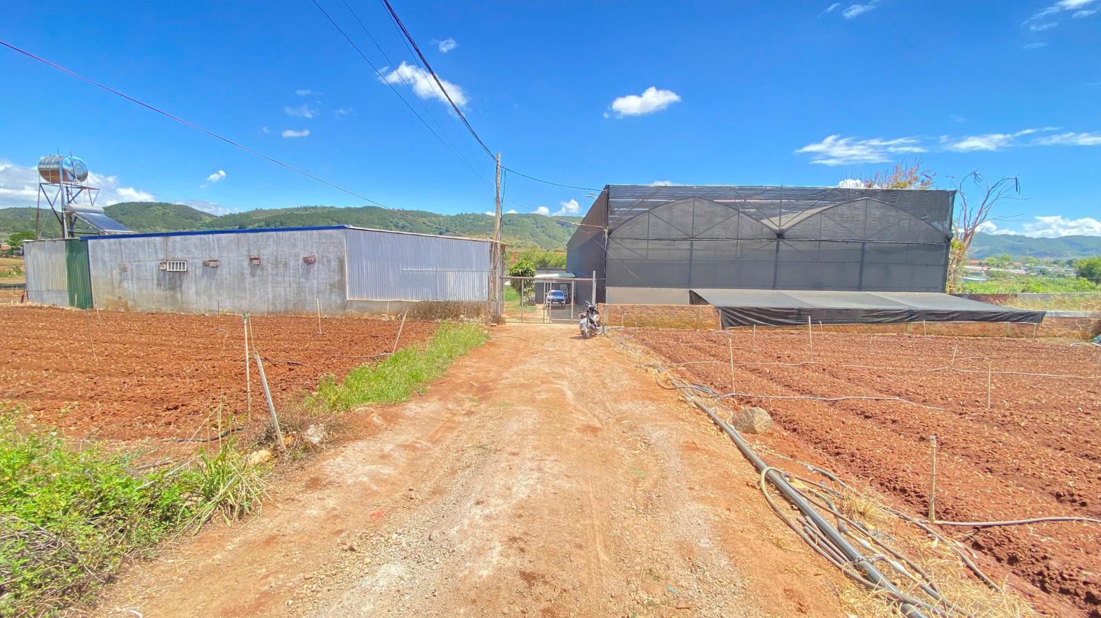 Đất hẻm gần cafe ngọc ngân bên sông, trung tâm đức trọng, lâm đồng 15987568