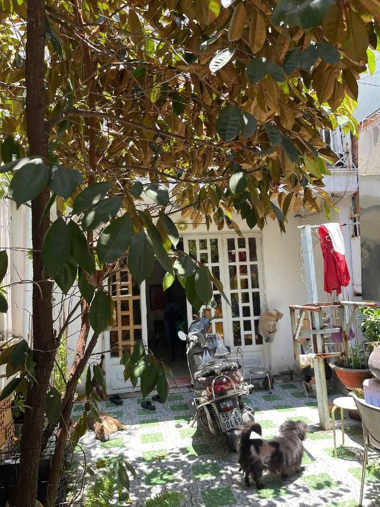 HOT NHÀ QUẬN 7 – GẦN LÂM VĂN BỀN 4.2M x19M Chỉ 8 TỶ 8 15987603