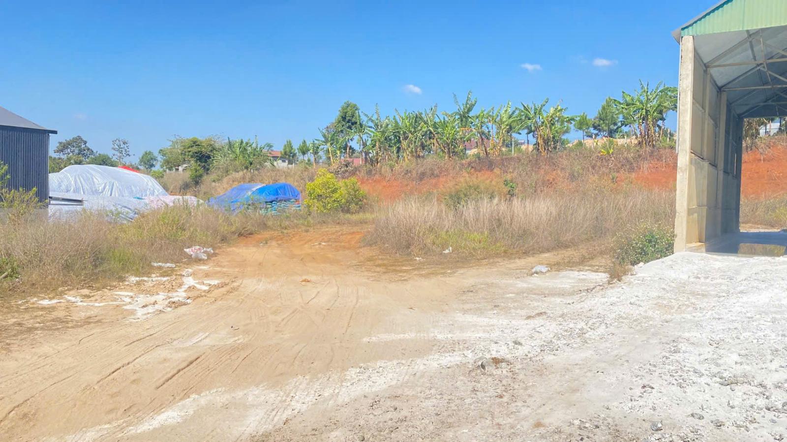 Bán 1.851m2 đất mặt tiền quốc lộ 20, phú hội cũ, đức trọng, lâm đồng 15987629