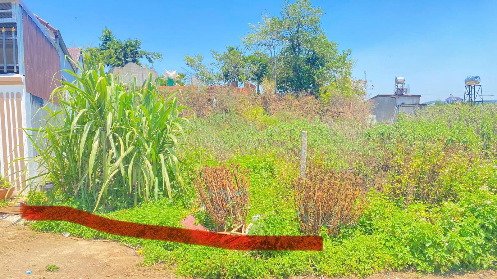 Đất hẻm phân lô phú hội cũ, đức trọng, lâm đồng bao sổ 15987632