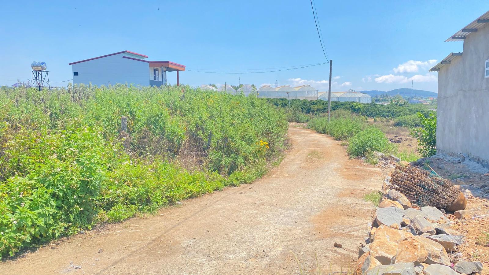 Đất hẻm phân lô phú hội cũ, đức trọng, lâm đồng bao sổ 15987632