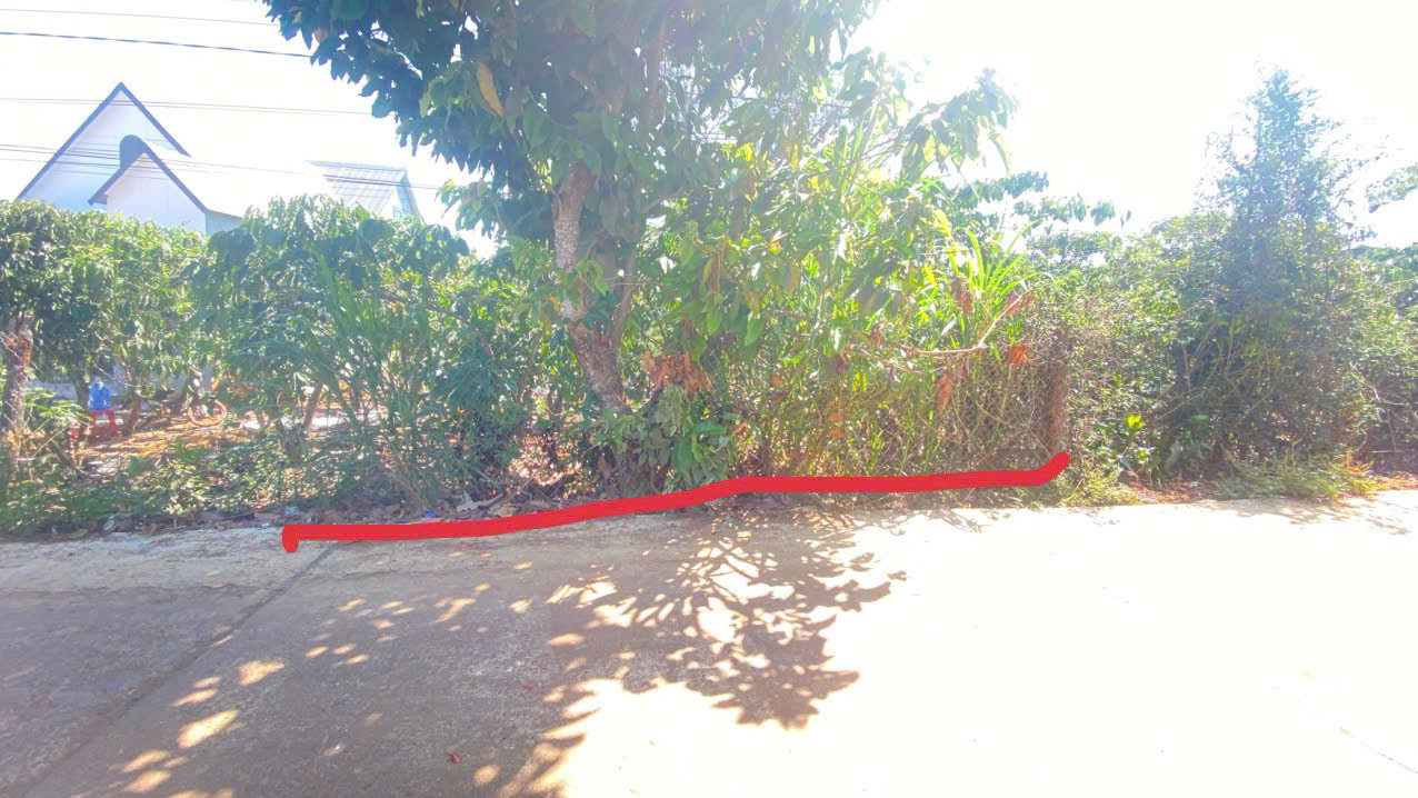 Đất hẻm DH1, n'thôn hạ cũ, tân hội đức trọng, lâm đồng 15987634