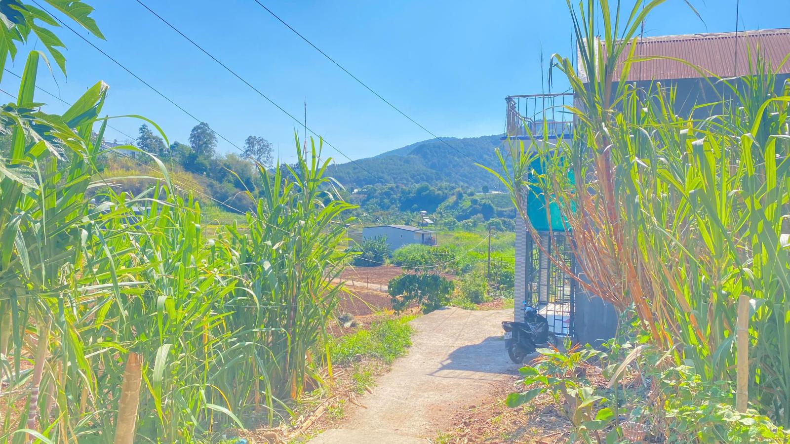 Đất phân lô trung tâm đức trọng, lâm đồng giá rẻ 790 triệu 15987635