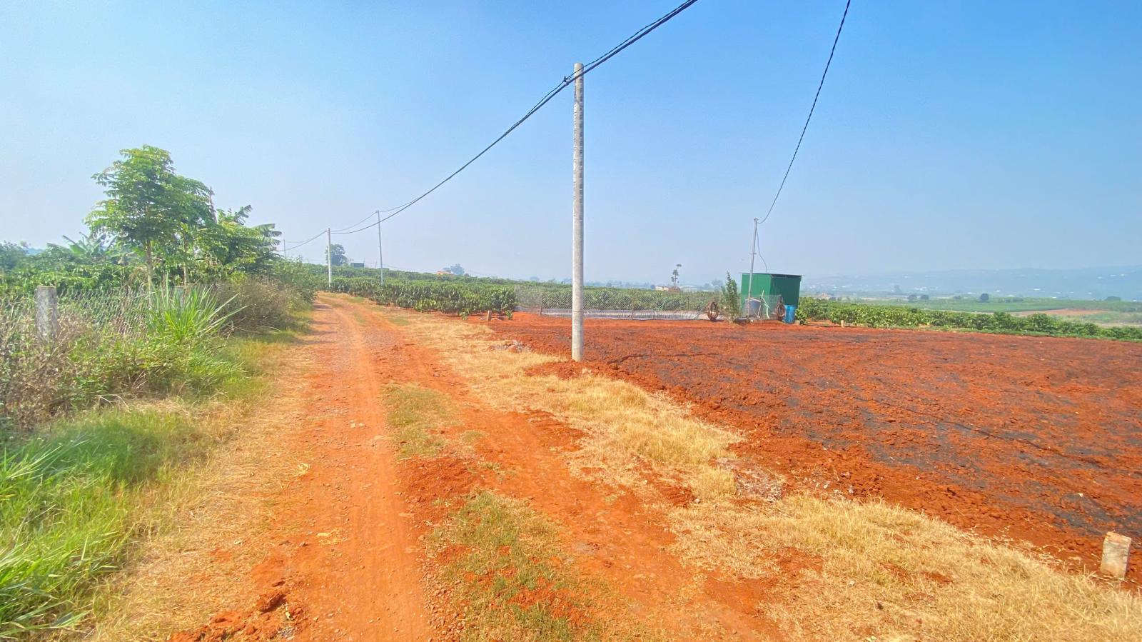 3,6 sào hẻm dh1, tân hội, đức trọng cũ, lâm đồng 15987637