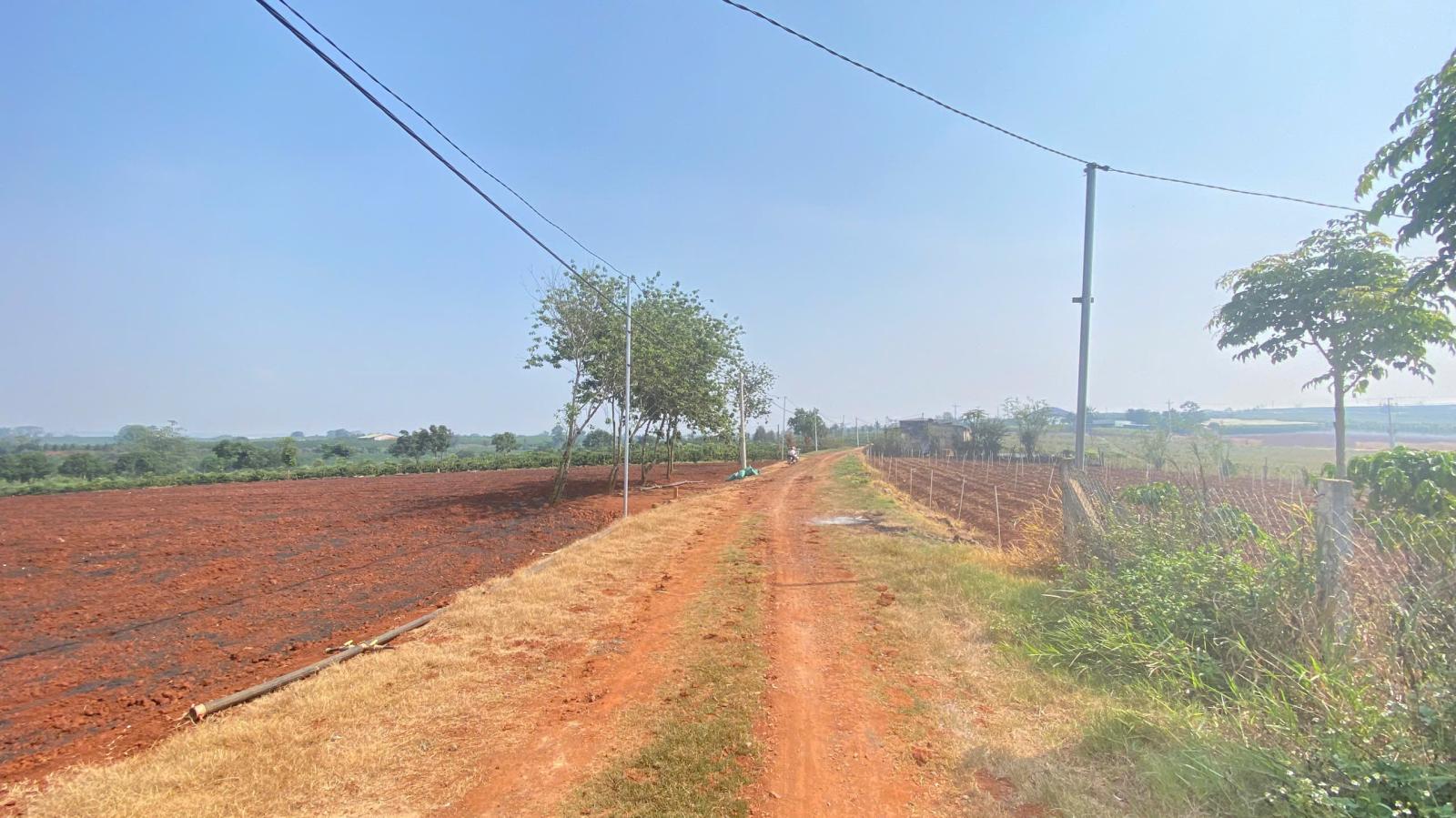 3,6 sào hẻm dh1, tân hội, đức trọng cũ, lâm đồng 15987637