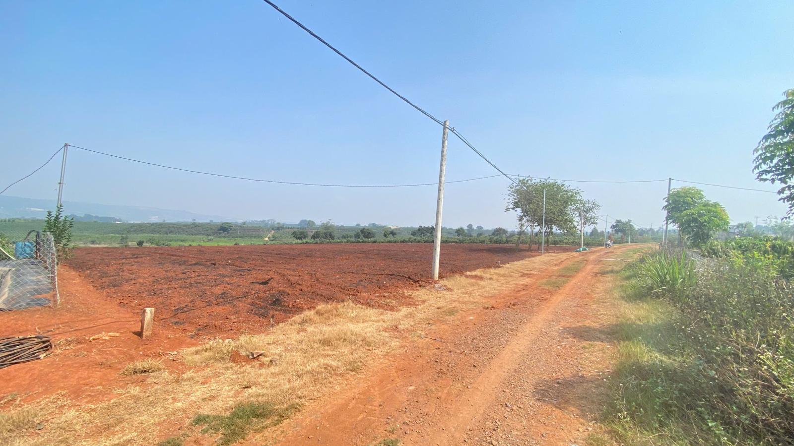 3,6 sào hẻm dh1, tân hội, đức trọng cũ, lâm đồng 15987637