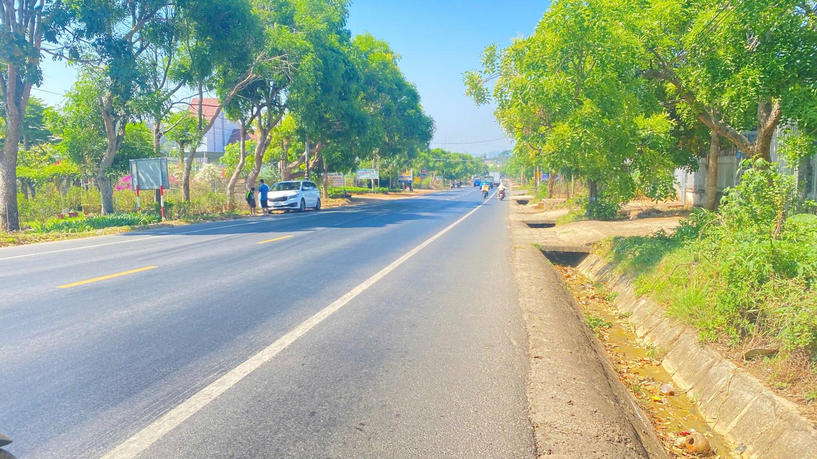 Đất mặt tiền quốc lộ 20, phú hội cũ, đức trọng, lâm đồng 15987641