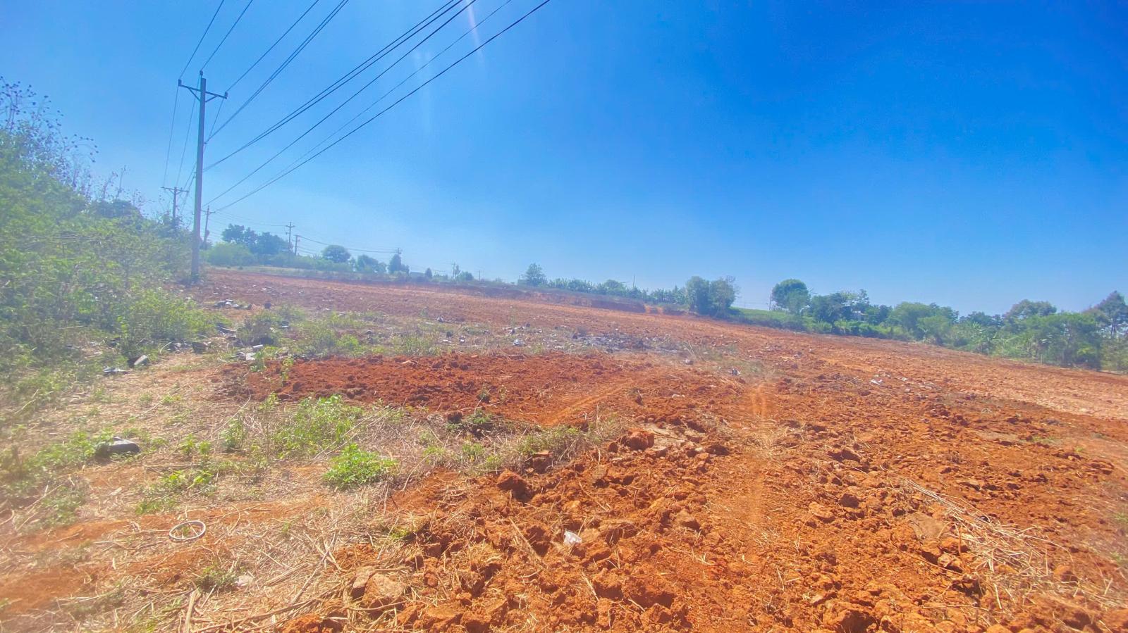 1ha mặt tiền nhựa chính vào thác Pongour, phú hội cũ, đức trọng, lâm đồng 15987643