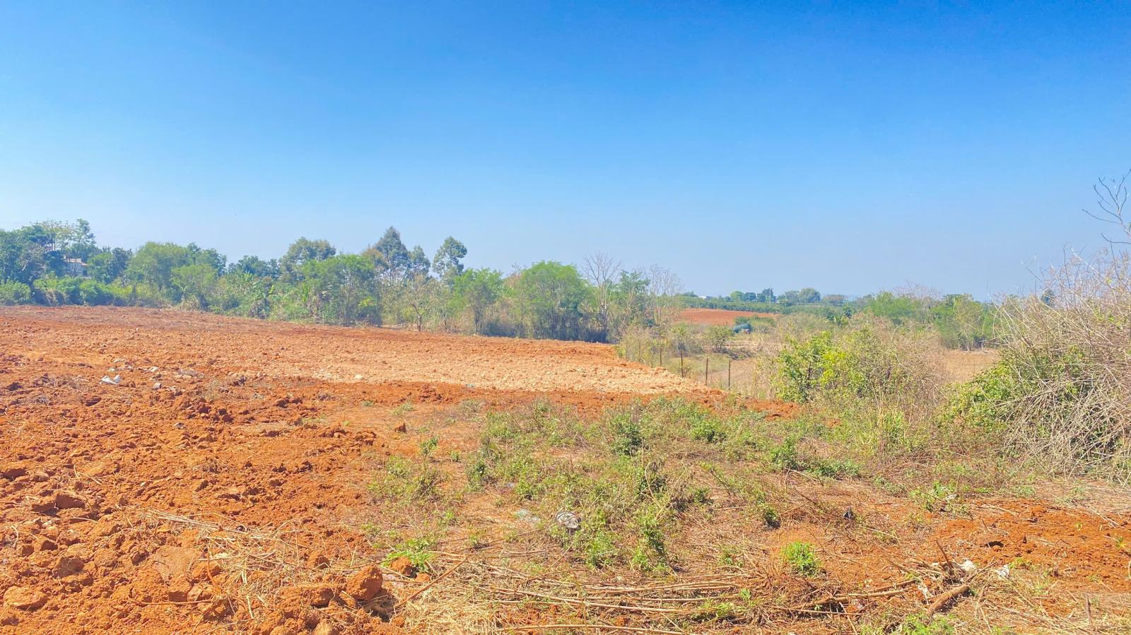 1ha mặt tiền nhựa chính vào thác Pongour, phú hội cũ, đức trọng, lâm đồng 15987643