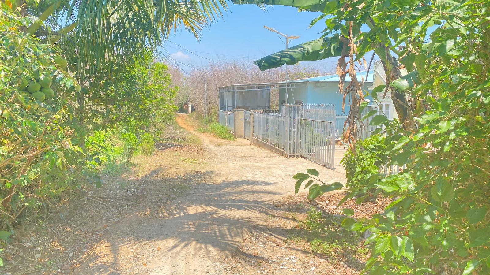 1,7 sào hẻm ql27, cây số 5, n'thôn cũ, đức trọng, lâm đồng 15987649