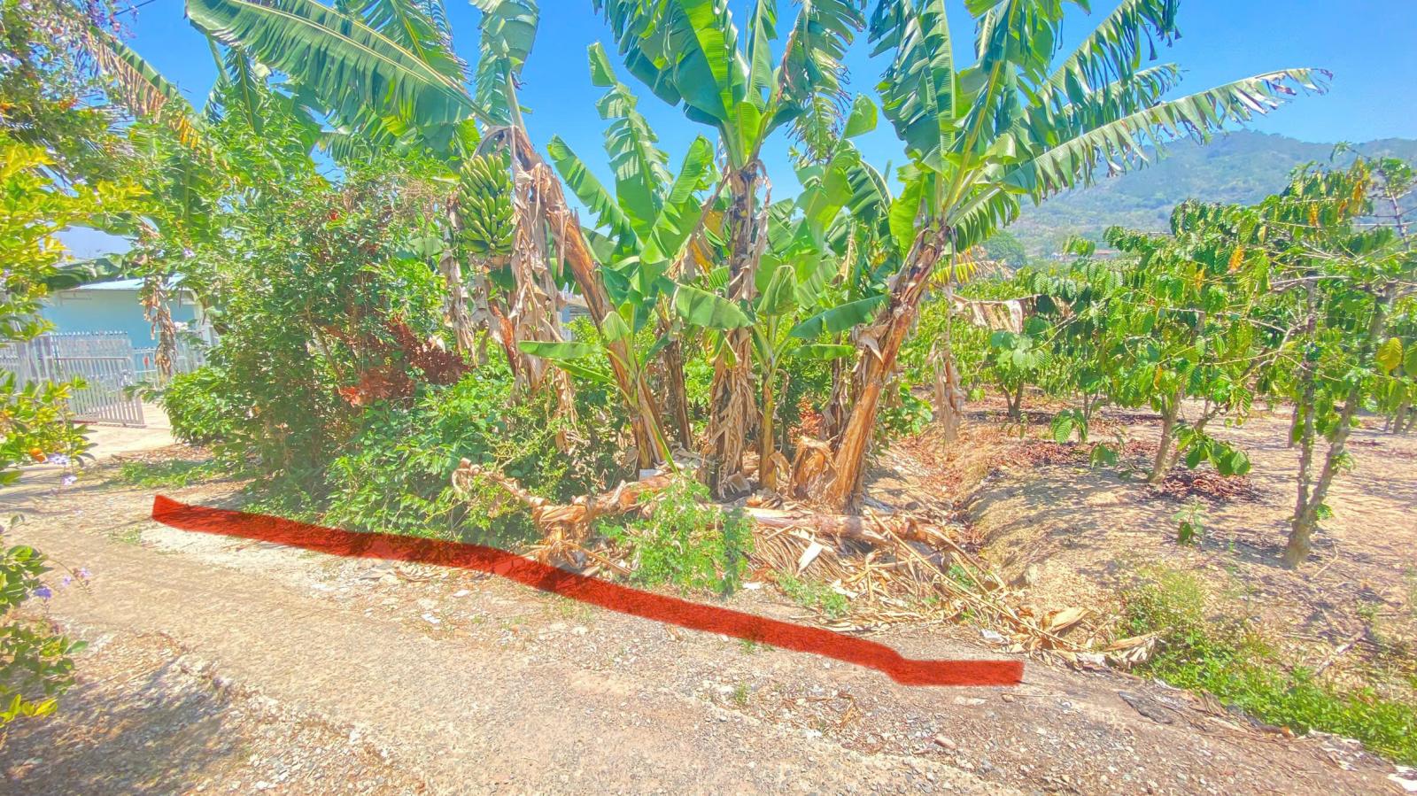 1,7 sào hẻm ql27, cây số 5, n'thôn cũ, đức trọng, lâm đồng 15987649