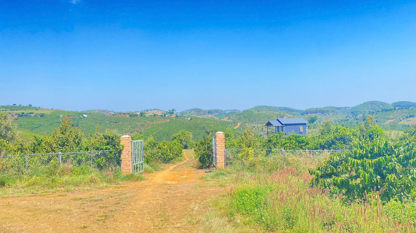 Đất hẻm ql28B, ninh gia, đức trọng cũ, lâm đồng 3,7 héc ta ( 37.000m2 ) 15987651