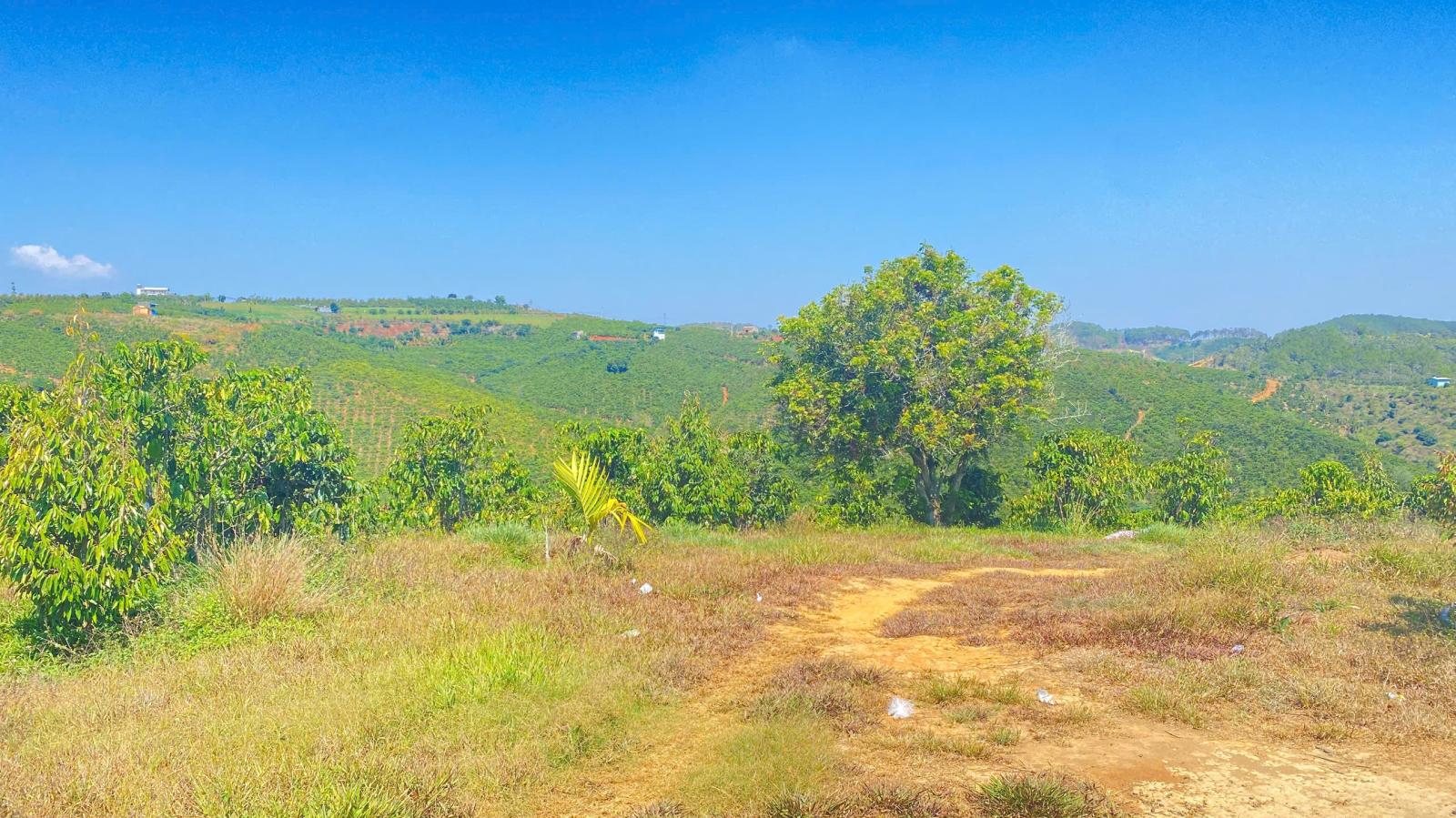 Đất hẻm ql28B, ninh gia, đức trọng cũ, lâm đồng 3,7 héc ta ( 37.000m2 ) 15987651