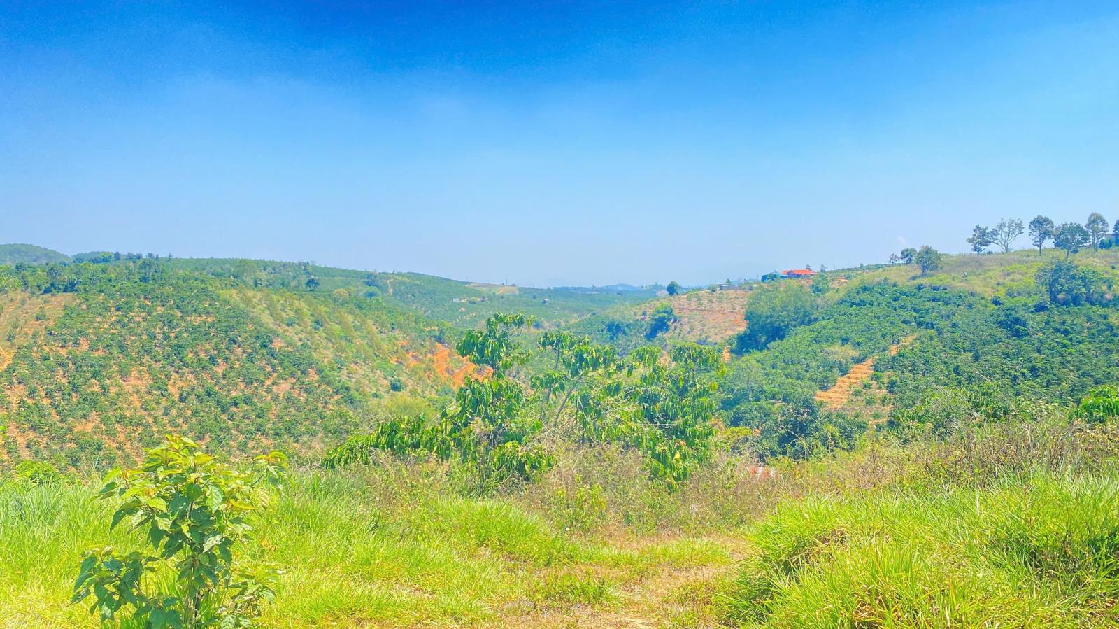 Đất hẻm ql28B, ninh gia, đức trọng cũ, lâm đồng 3,7 héc ta ( 37.000m2 ) 15987651