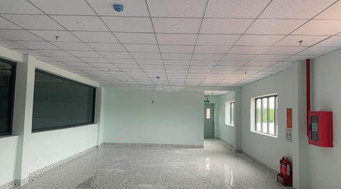 CHO THUÊ NHÀ KHO 250M2 ĐƯỜNG NGUYỄN CHÁNH, GIÁ 12 TRIỆU 15987652