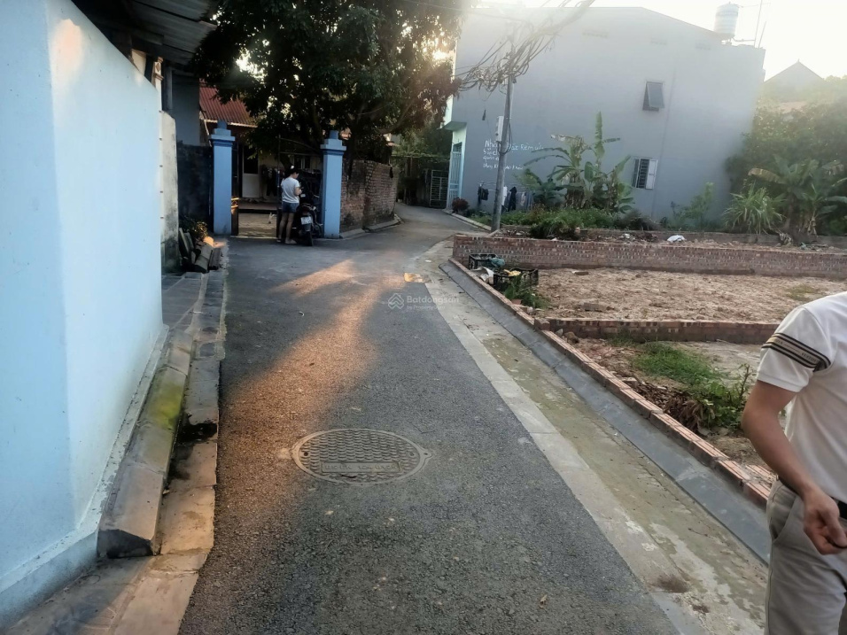 Bán đất xóm Gà Cổ Loa - 80m2 - đường thông ô tô 15987759