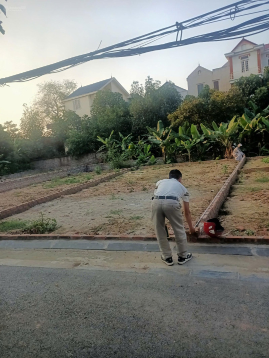 Bán đất xóm Gà Cổ Loa - 80m2 - đường thông ô tô 15987774