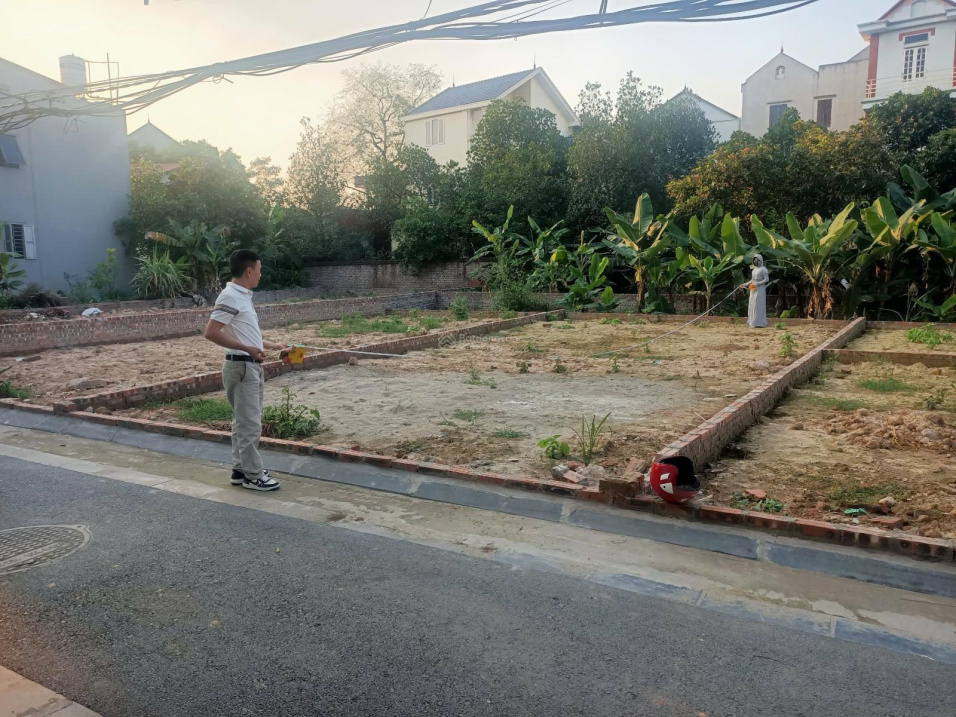 Bán đất xóm Gà Cổ Loa - 80m2 - đường thông ô tô 15987774