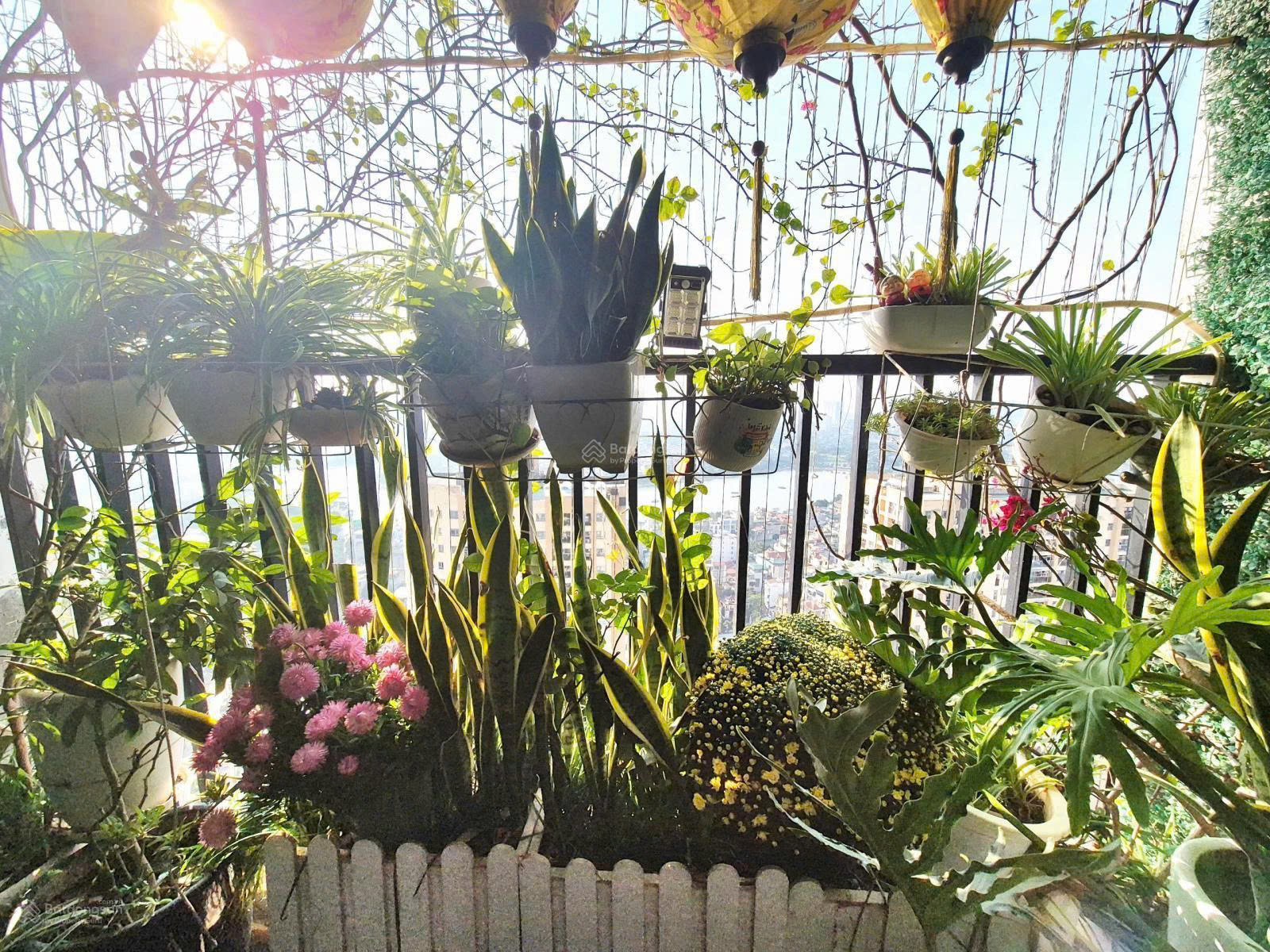 Chính chủ cần bán căn hộ chung cư đẹp, nhiều tiện ích tại Chung cư Smile Building 15987797