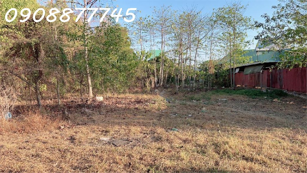 Cần Bán Gấp Đất Phước Thiện, L.Thạnh Mỹ, Q.9, 4220m2, Giá 75 Tỷ 15987910