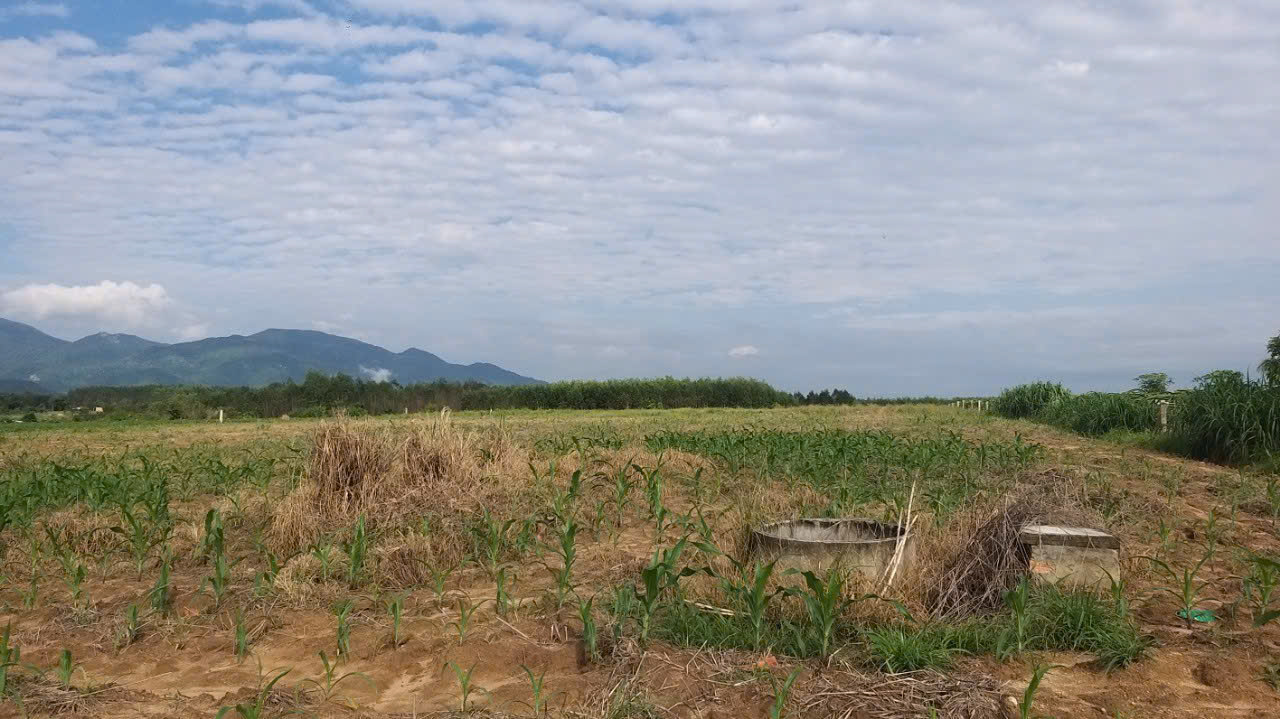 Bán 1.18 ha đất hẻm Quốc lộ 55, Tân Nghĩa, Hàm Tân đường ô tô giá rẻ 15987917