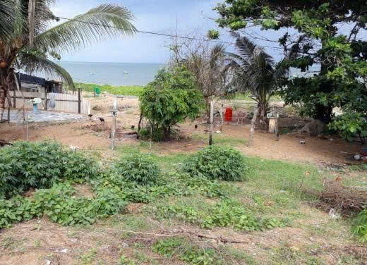 BÁN ĐẤT BIỂN DIỆN TÍCH LỚN – CƠ HỘI ĐẦU TƯ HIẾM 15987926