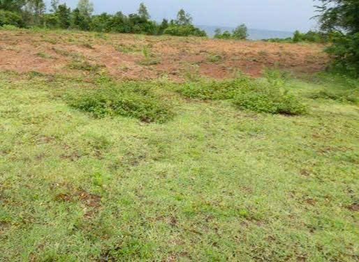 BÁN ĐẤT BIỂN DIỆN TÍCH LỚN – CƠ HỘI ĐẦU TƯ HIẾM 15987927