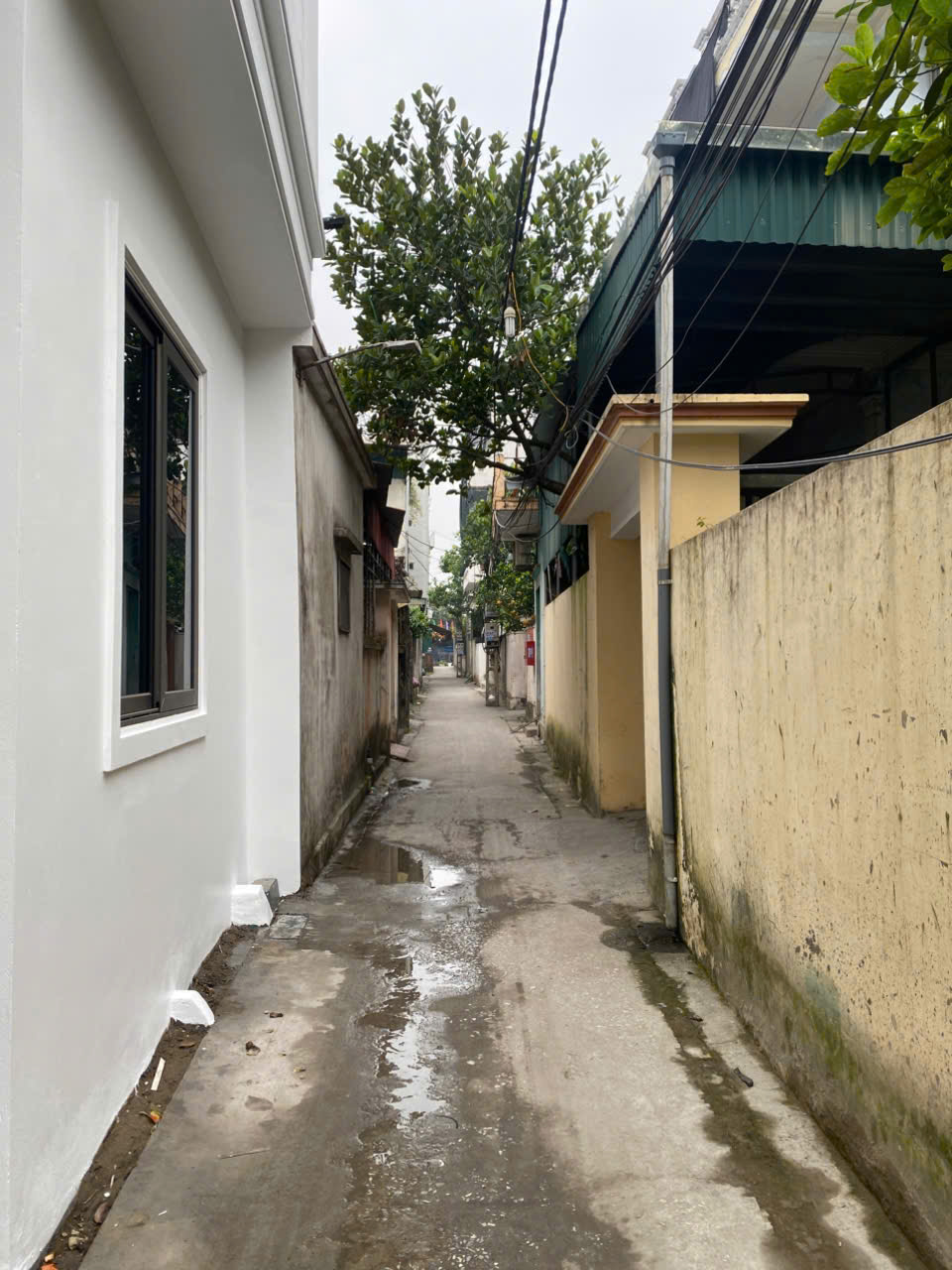 bán 2 lô đất vuông sẵn sổ ngõ thông thẳng tắp từ phan bá vành sang trần quang diệu 15987935