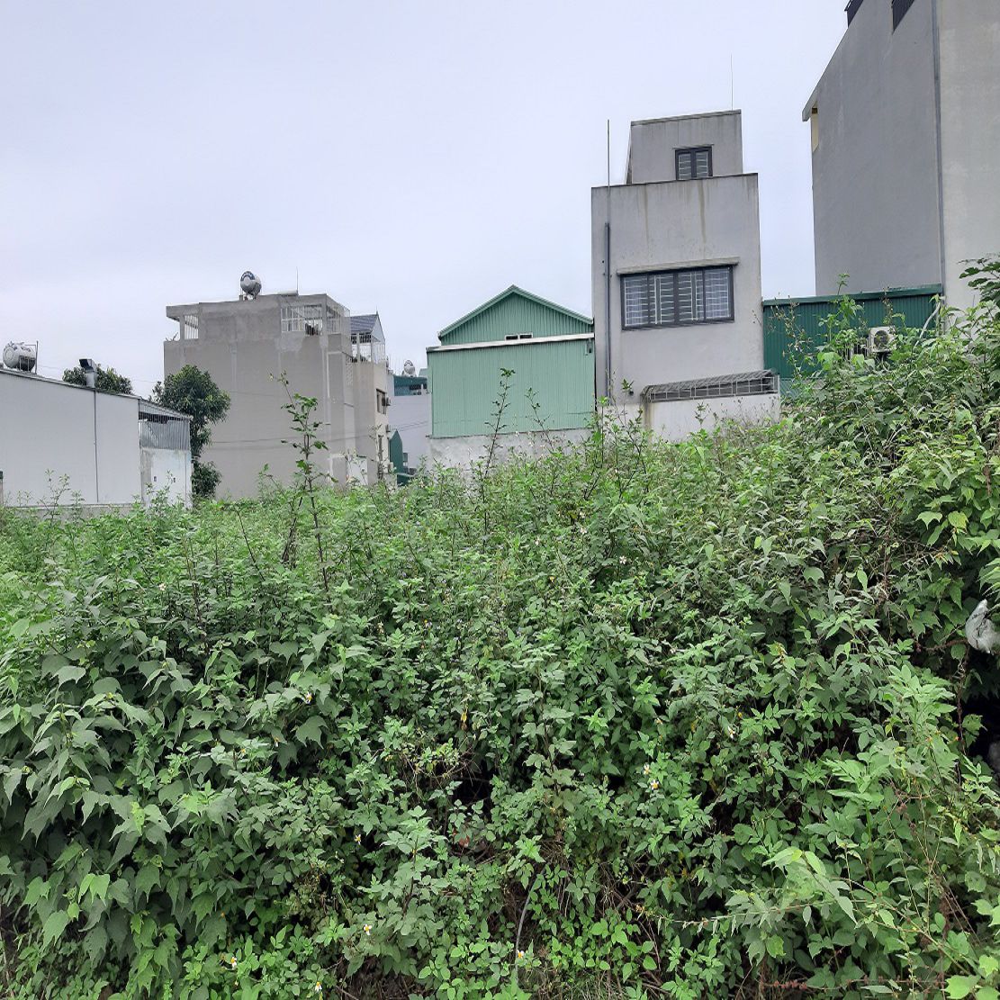 Bán đất Gia Lâm, Hà Nội, Kiêu Kỵ cũ. 66m2, mt 4,5m 7 chỗ thông 5 tỷ x. Lh 0989894845  15988034