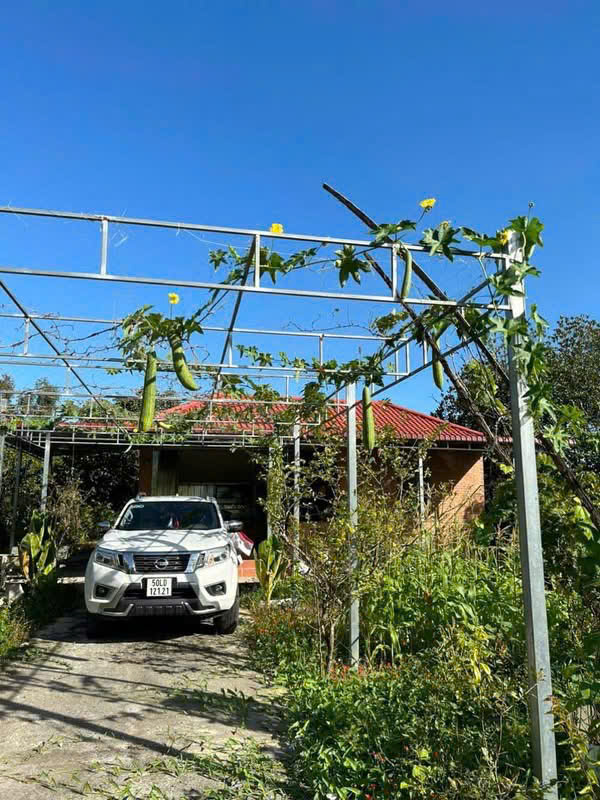 BÁN GẤP VƯỜN TRÁI CÂY VEN KÊNH – 1.100M² – CHỈ 4,8TR/M² – GIÁ MỀM HIẾM CÓ 15988032