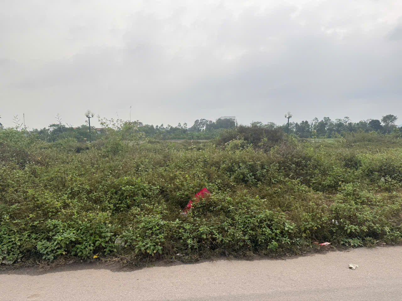 CHÍNH CHỦ CHUYỂN NHƯỢNG BIỆT THỰ BT2-10 – 280m² 15988096