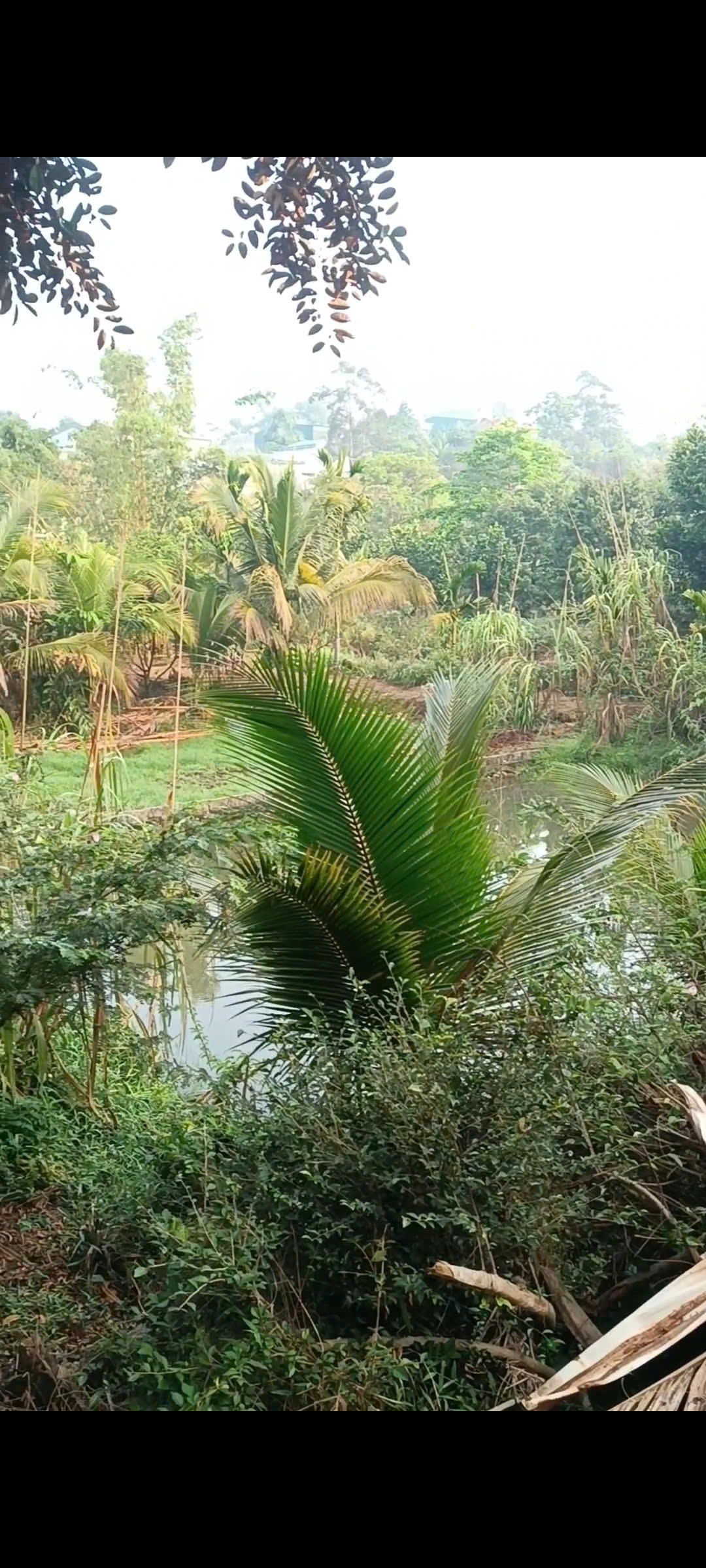 Chính chủ gấp bán 3 xào đất Gia Nghĩa ( Rẻ Nhất Khu vực) 15988170