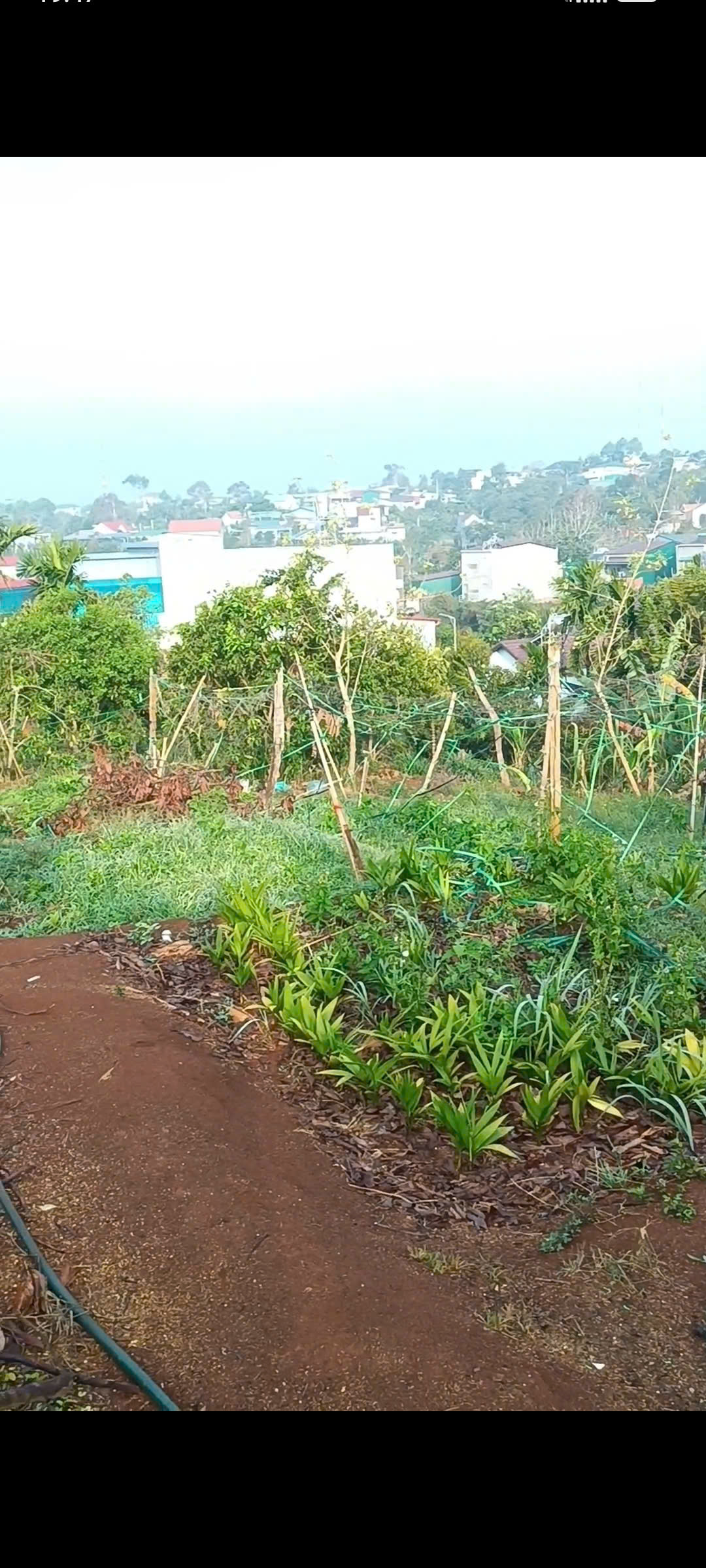 Chính chủ gấp bán 3 xào đất Gia Nghĩa ( Rẻ Nhất Khu vực) 15988170