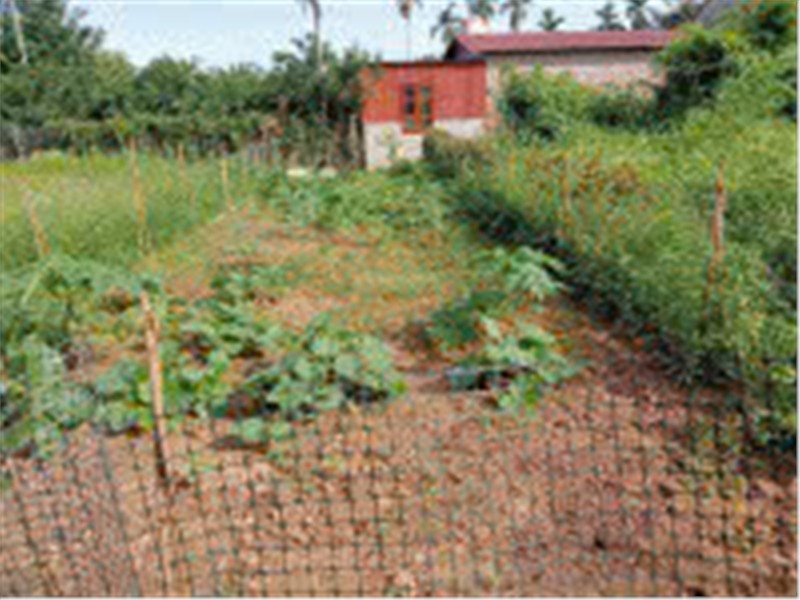 ĐẤT ĐẸP- GIÁ TỐT- SỞ HỮU NGAY Lô đất thổ cư 66 m2 tại xã Phúc Thọ-Hà Nội 15988223