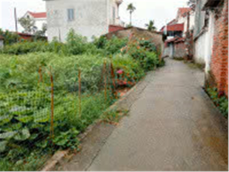 ĐẤT ĐẸP- GIÁ TỐT- SỞ HỮU NGAY Lô đất thổ cư 66 m2 tại xã Phúc Thọ-Hà Nội 15988223