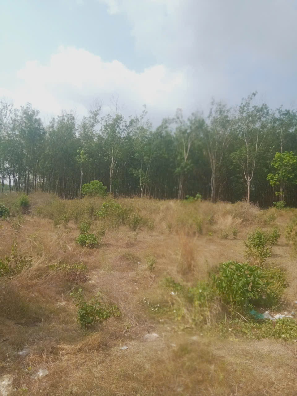 ĐẤT ĐẸP GIÁ TỐT – CHÍNH CHỦ CẦN BÁN 3 LÔ ĐẤT Liền Kề Thôn 7, Xã Long Bình, H. Phú Riềng, Bình Phước. 15988255