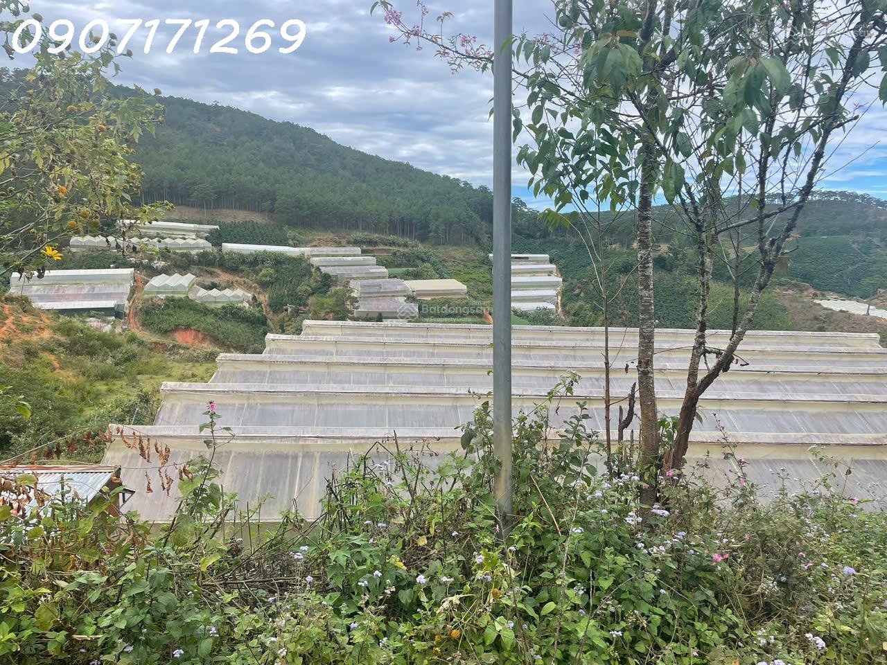 Bán đất manglin tại Phường 7 Tp Đà Lạt (nay là phường Langbiang) diện tích 210m2 15988281