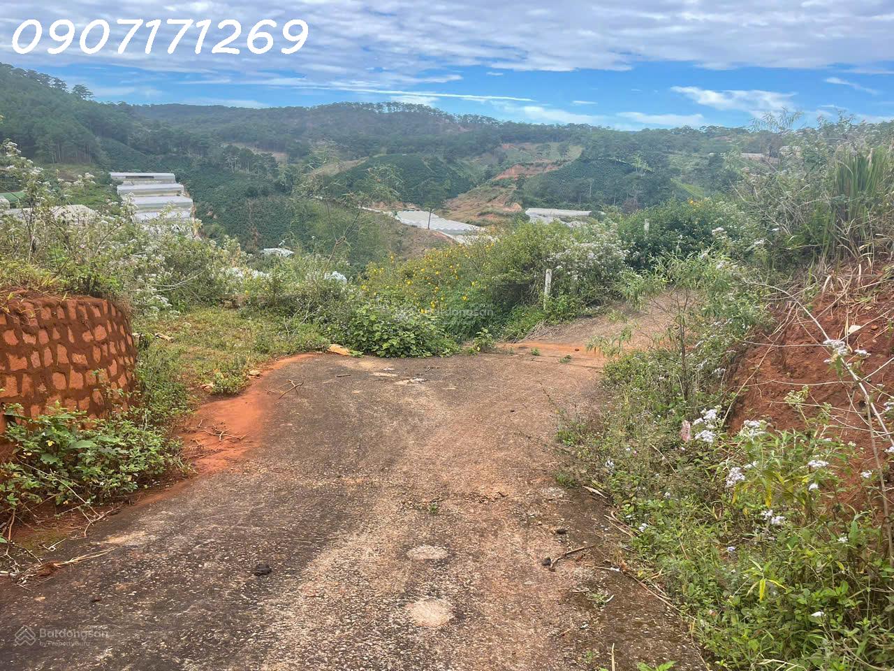 Bán đất manglin tại Phường 7 Tp Đà Lạt (nay là phường Langbiang) diện tích 210m2 15988281