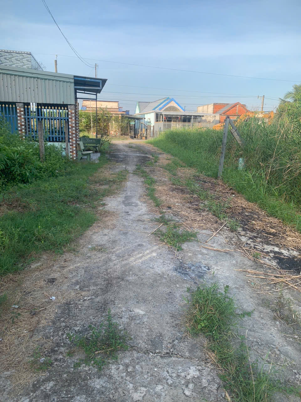 cần bán đất nền 100% thổ cư Tại Xã Mỹ Lệ, Huyện Cần Đước, Tỉnh Long An. 15988361